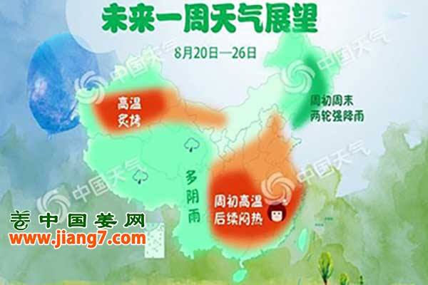 產區臺風過后，高溫或將卷土重來！ ()