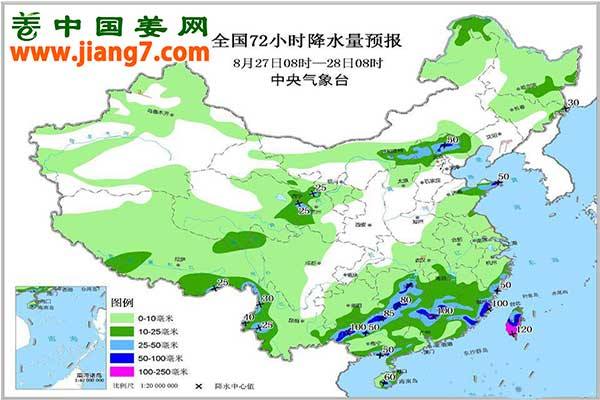 降雨+高溫又至，上水姜需及時處理 ()