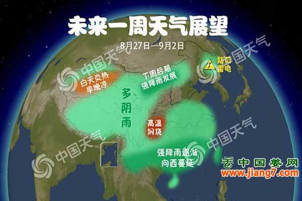 強降雨又來了，及時處理上水姜！ ()