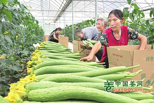 長春蔬菜價格進入季節性下行通道 ()