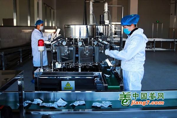 銅陵：深入研發生姜新產品 提升企業競爭力 ()