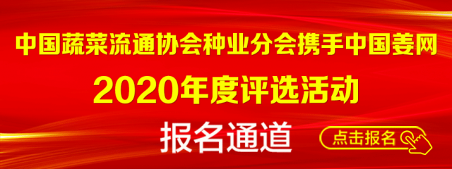 評選報名通道