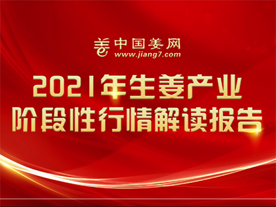 中國姜網2021年生姜產業階段性行情解讀報告 ()