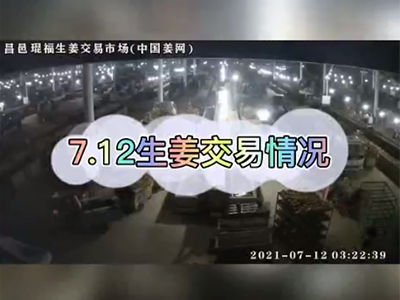 7月12日 琨福生姜交易實況（行情稍弱） ()