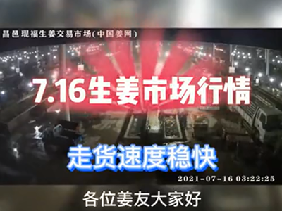 7月16日 昌邑生姜交易實況（走貨穩快） ()