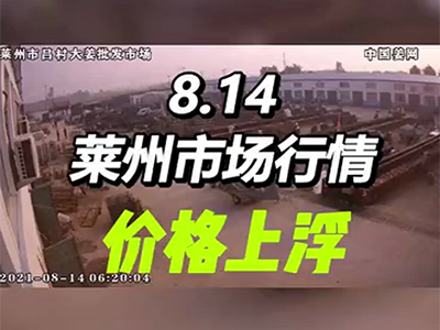 8月14日 萊州生姜交易實況（穩中稍快） ()