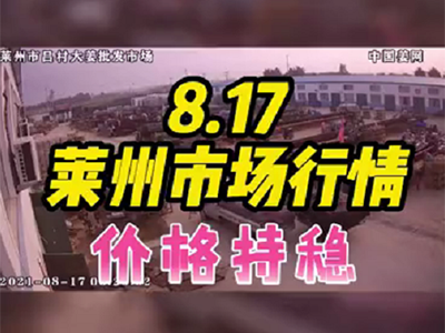 8月17日 萊州生姜交易實況（價格持穩） ()