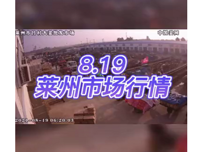 8月19日 萊州生姜交易實況（交易顯疲） ()