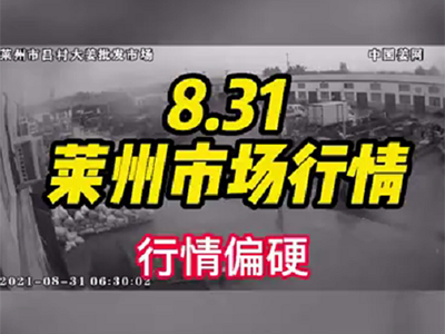 8月31日 萊州生姜交易實況（行情偏硬） ()