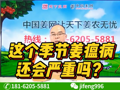 這個季節姜瘟病還會嚴重嗎？ ()