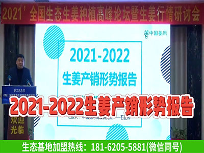 2021-2022生姜產銷形勢報告 ()