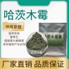 哈茨木霉 農作物種植 肥料發酵菌種