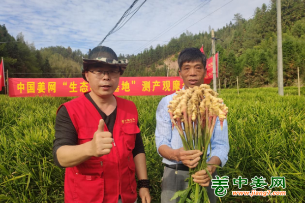 2022年南方生姜基地測產（三） ()