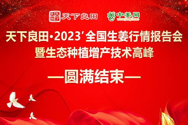 2023’全國生姜行情報告會暨生態種植增產技術高峰論壇成功舉辦 ()