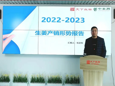 2022-2023生姜產銷報告 ()