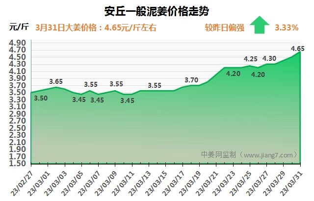 安丘下午