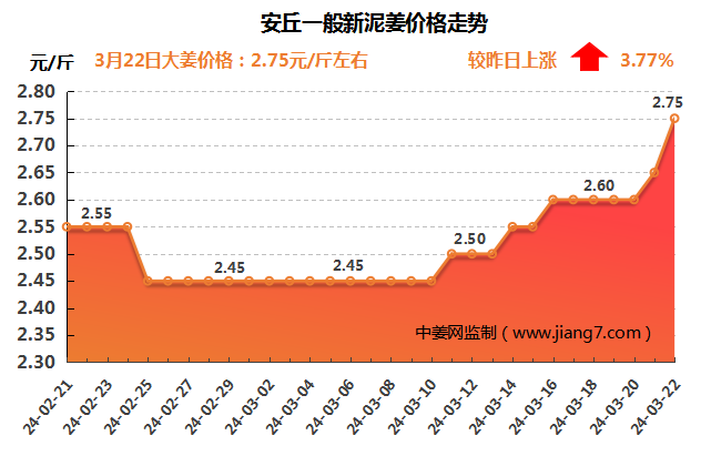 安丘下午