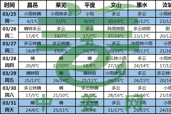 春雨貴如油 助力山東大姜種植 ()