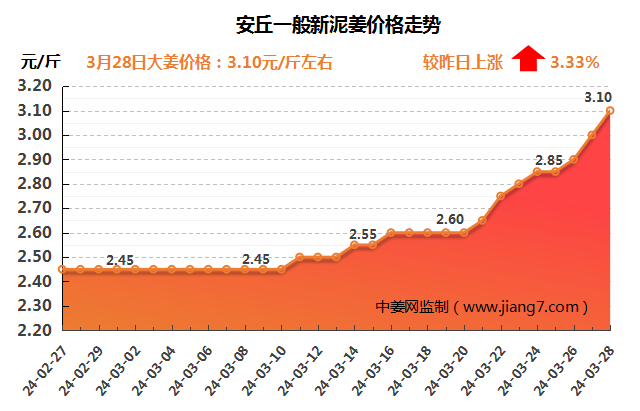 安丘下午