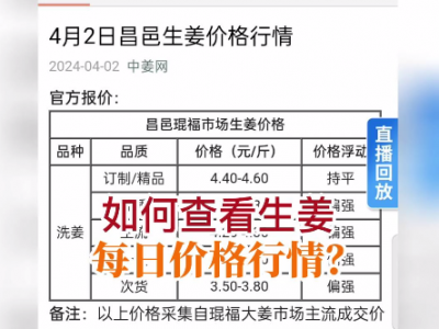 如何查看生姜每日價格行情？ ()