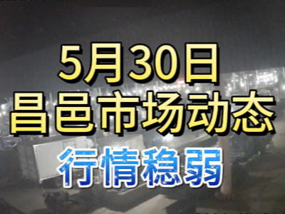 5月30日 琨福市場大姜價格（行情穩弱） ()