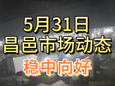 5月31日 琨福市場大姜價格（穩中向好） ()