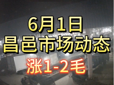 6月1日 琨福市場大姜價格（漲1-2毛） ()