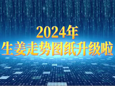 2024年生姜走勢圖紙升級啦！ ()