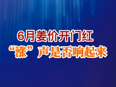 6月姜價開門紅“漲”聲是否響起來？ ()