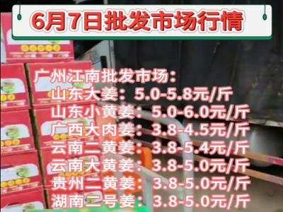 6月7日廣州江南批發市場生姜價格行情 ()