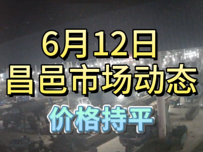 6月12日 琨福市場大姜價格（價格持平） ()