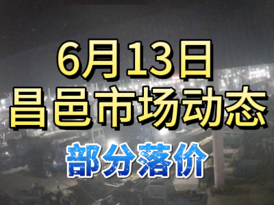 6月13日 琨福市場大姜價格（部分落價） ()