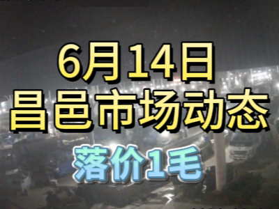 6月14日 琨福市場大姜價格（落價1毛） ()