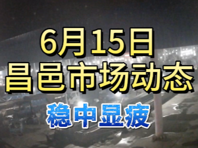 6月15日 琨福市場大姜價格（穩中顯疲） ()