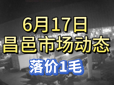 6月17日 琨福市場大姜價格（落價1毛） ()