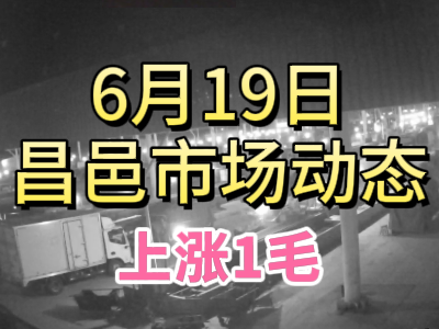 6月19日 琨福市場大姜價格（上漲1毛） ()