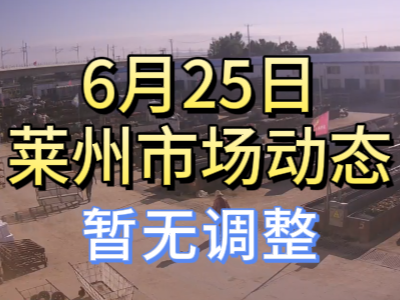 6月25日 萊州生姜交易實況（暫無調整） ()