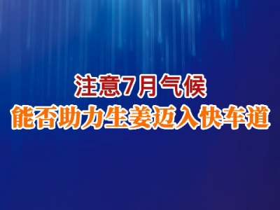 注意7月氣候 能否助力生姜進入快車道 ()