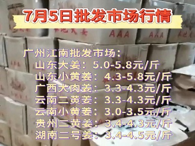 7月5日廣州江南批發市場生姜價格行情 ()