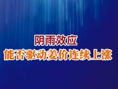 陰雨效應 能否驅動姜價連續上漲？ ()