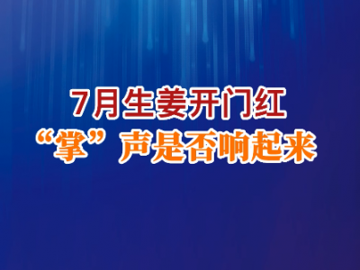 7月生姜開門紅“掌”聲是響響起來？ ()