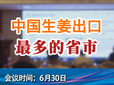 中國生姜出口最多的省 ()