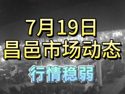 7月19日 琨福市場大姜價格（行情穩弱） ()