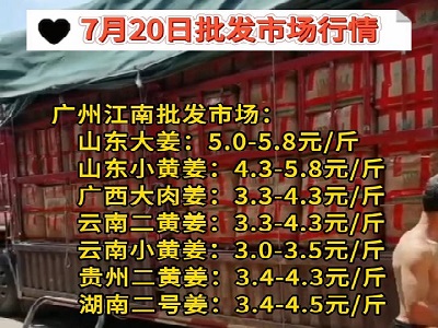 7月20日廣州江南批發市場生姜價格行情 ()