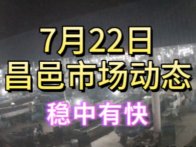 7月22日 琨福市場大姜價格（穩中有快） ()