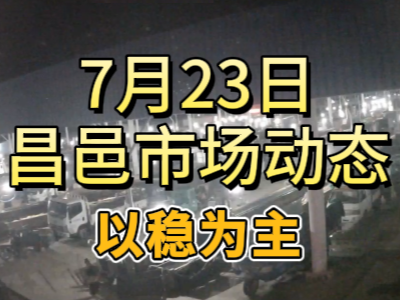 7月23日 琨福市場大姜價格（以穩為主） ()