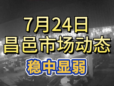 7月24日 琨福市場大姜價格（穩中顯弱） ()