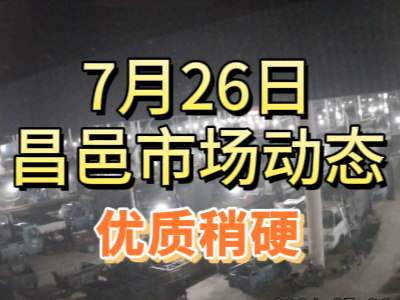 7月26日 琨福市場大姜價格（優質稍硬） ()