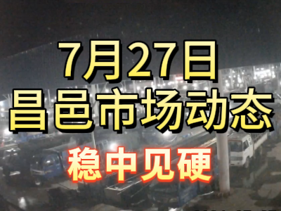 7月27日 琨福市場大姜價格（穩中見硬） ()