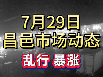 7月29日 琨福市場大姜價格（亂行 暴漲） ()